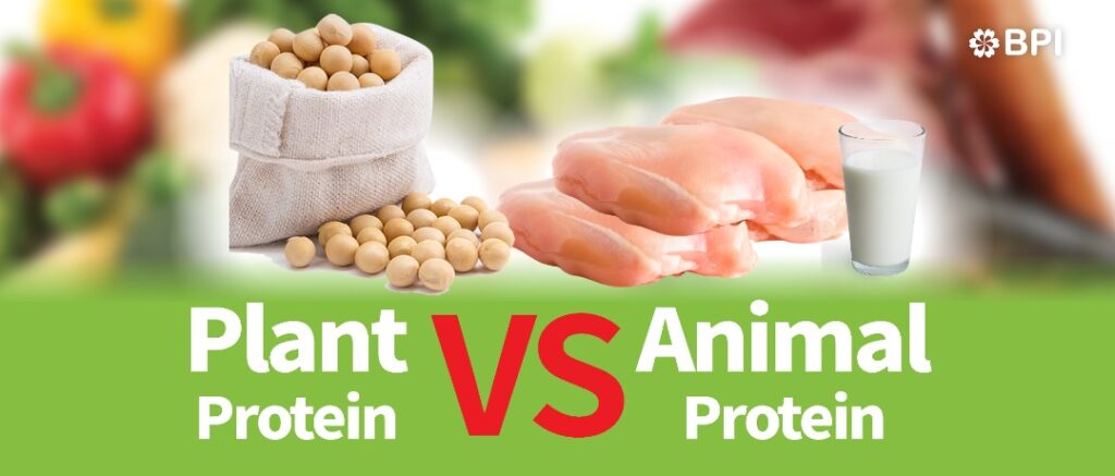 Plant Protein VS Animal Protein – BPI2U
